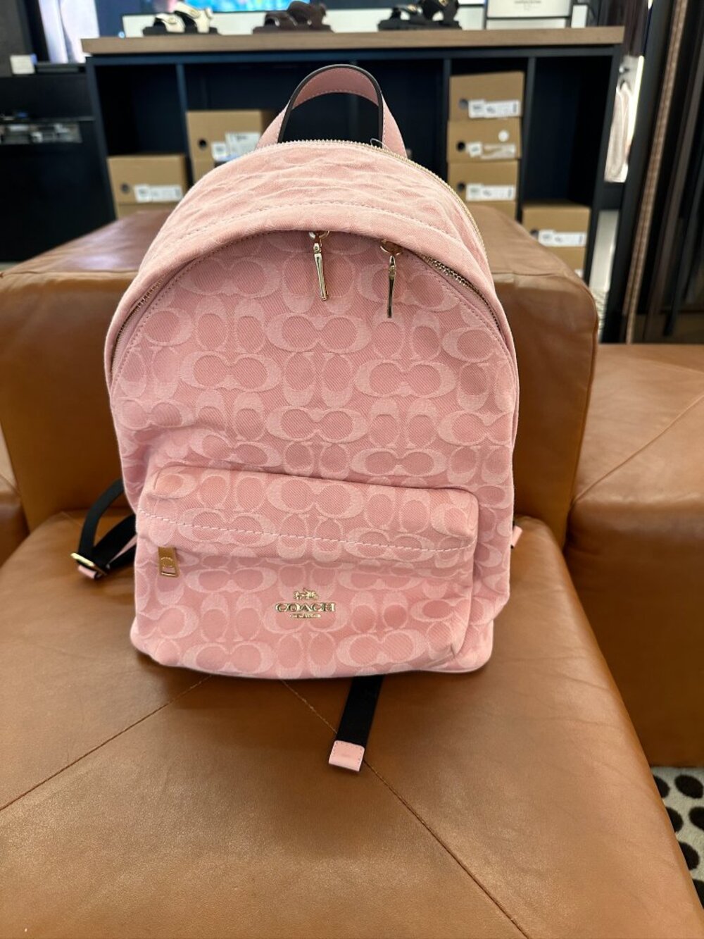 NWT Coach CER70 Women's Taylor Small Backpack In Signature Denim Light Pink/Gold